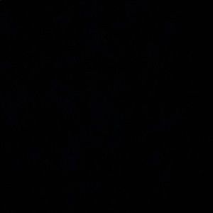 Meet your Posher, Omarion